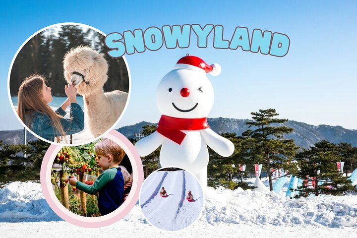 Discover a winter wonderland where you can feed fluffy alpacas slide down snowy slopes and savor fresh strawberries while creating delicious homemade jam. Perfect for family fun!